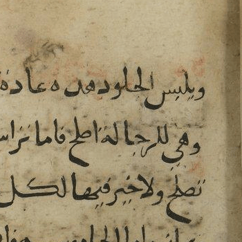 BnF Arabe 2825 31r f71.highres Kitab al-furusiyah TRUE