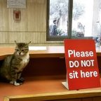 On books and electricity