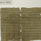 Keeping up with Coptic