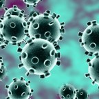 Some Reflections on COVID-19 and the Digitization of Research and Teaching