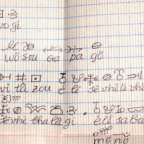Advancing on the encoding of Loma