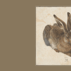 Transkribus in Practice: Improving CER