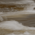 Fluid Matter(s): An Interview with Shigehisa Kuriyama and Natalie Köhle on Image-Based Storytelling, Part 2