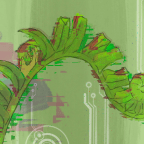 Sustainability in the DH.