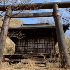 Online Teaching Resources on Shinto