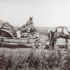 The Olufsen Collection: From 19th-Century Expeditions to Digital Museum Collection – Part 1